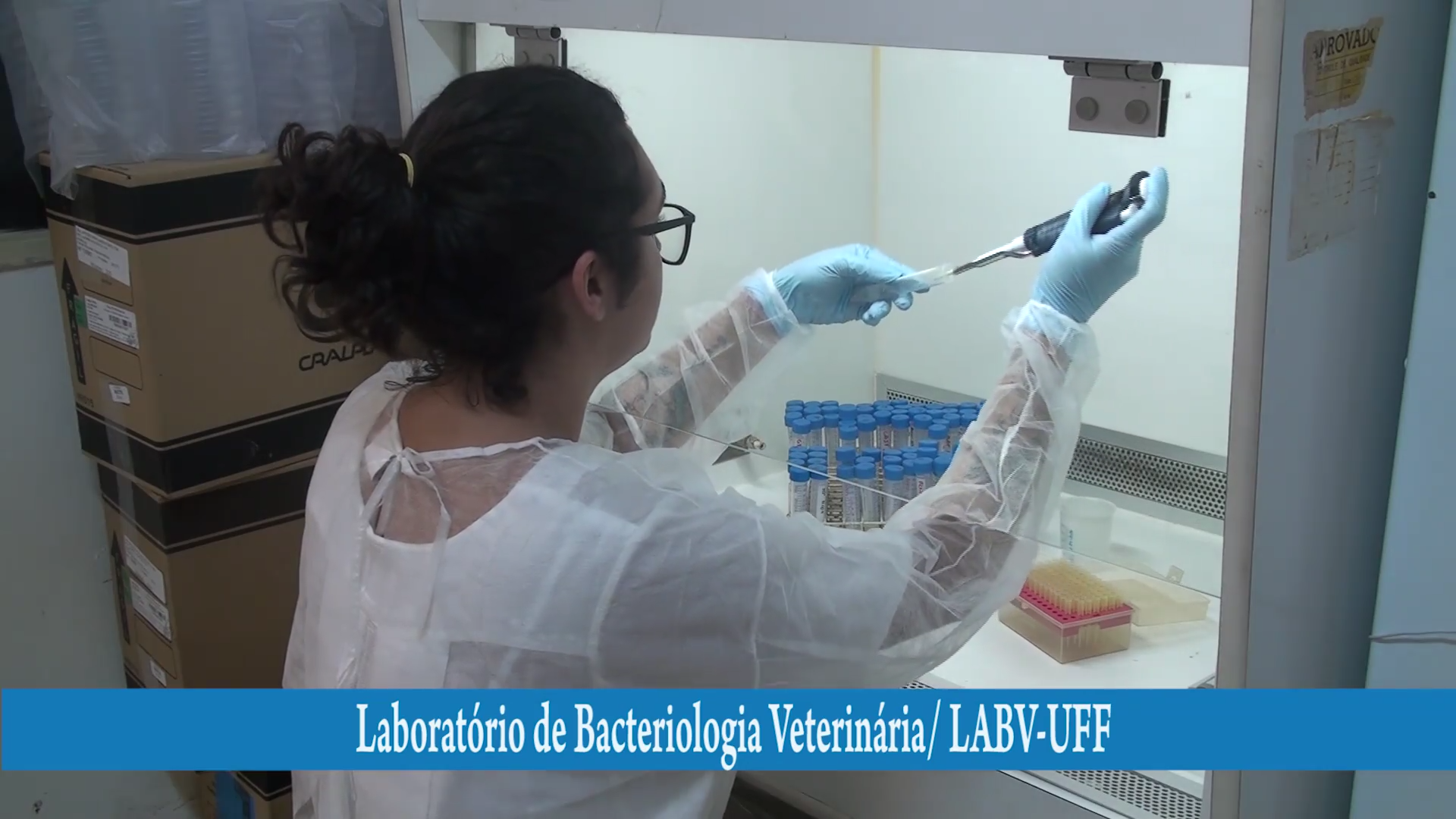 Vídeo – Laboratório de Bacteriologia Veterinária